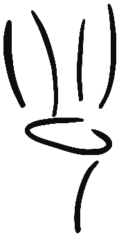 Image of the occurrence